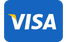 visa-payment